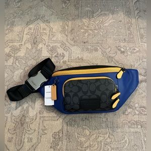 Coach Track Belt in Colorblock and Signature Logo